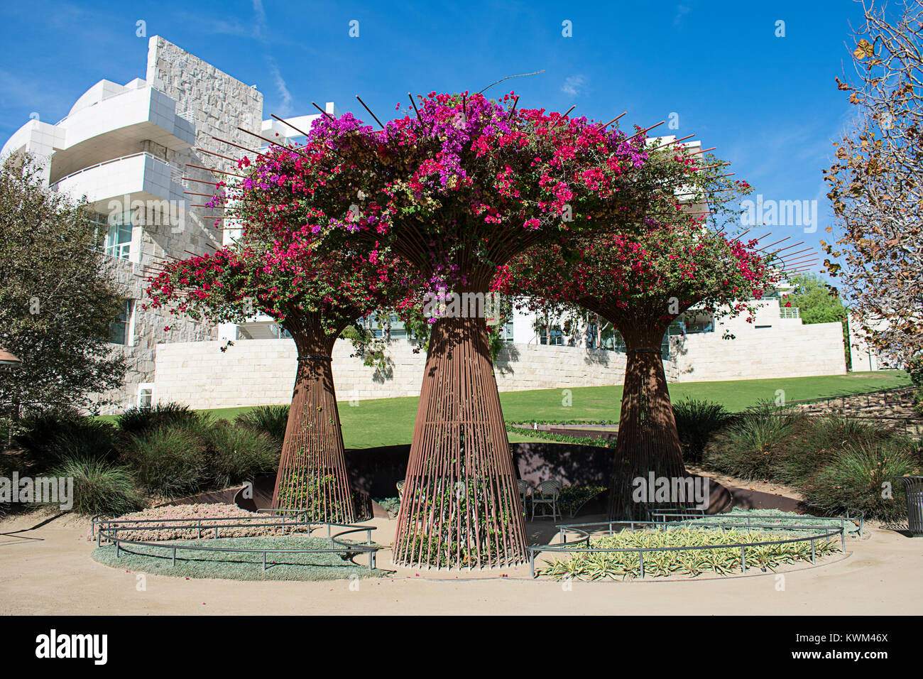 Blume Baum Stockfoto