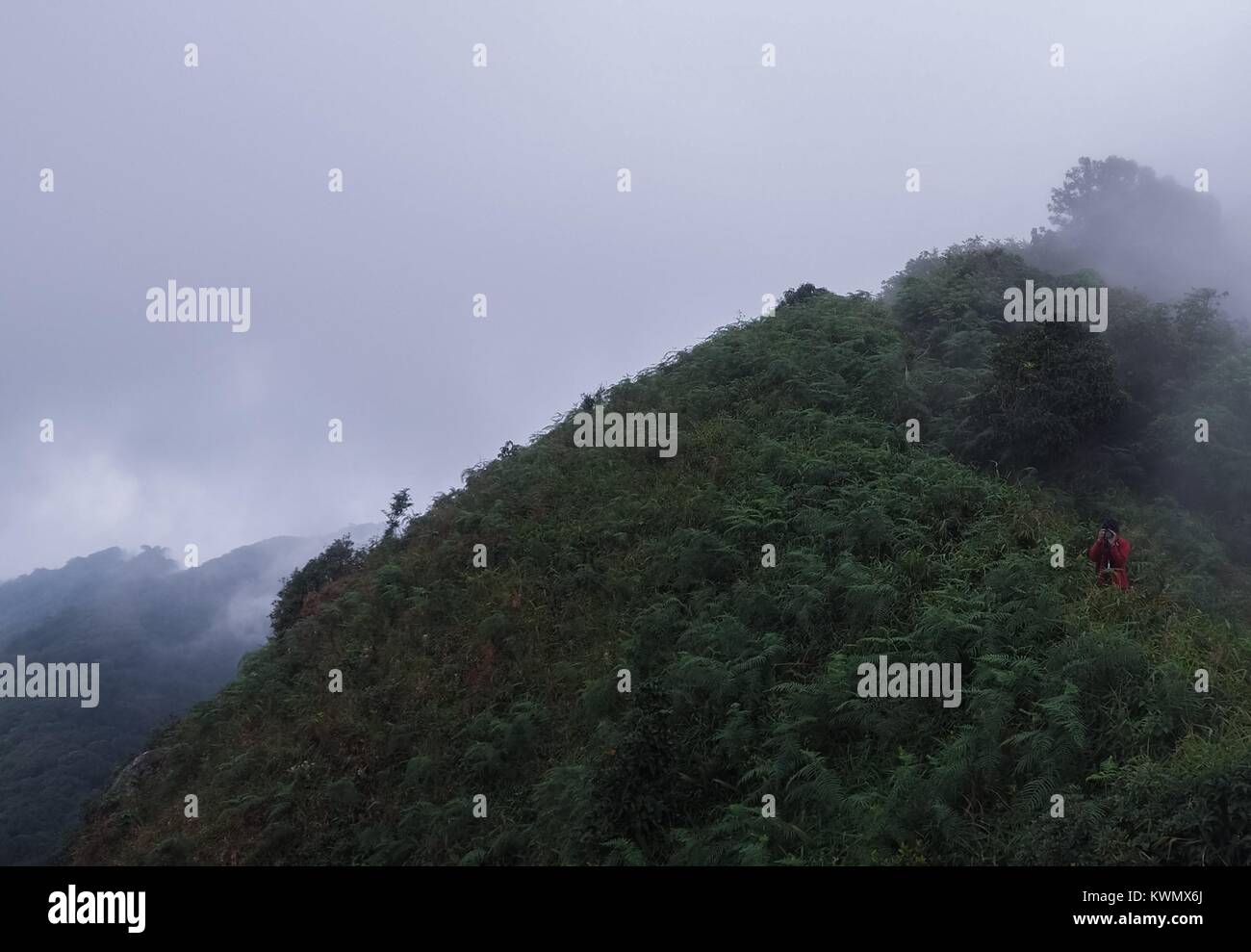 Schönen natürlichen Sonnenuntergang Sonnenaufgang über Khao Mokoju Gipfel Mokoju Berg, Mae Wong Nationalpark, Thailand. Stockfoto