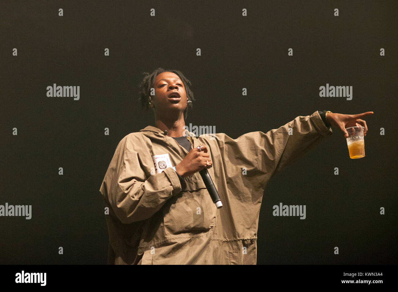 Der amerikanische Rapper Joey Badass (stilisiert Joey Bada$ $) führt ein Live Konzert in der deutschen Hip Hop und Reggae Festival Splash! Festival 2015 Ferropolis in Gräfenhainichen. Deutschland, 11/07 2015. Stockfoto