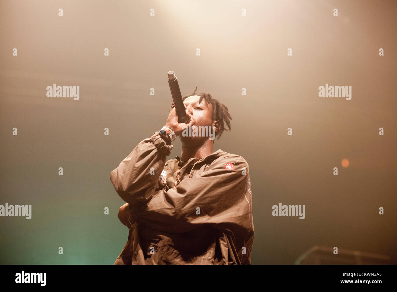 Der amerikanische Rapper Joey Badass (stilisiert Joey Bada$ $) führt ein Live Konzert in der deutschen Hip Hop und Reggae Festival Splash! Festival 2015 Ferropolis in Gräfenhainichen. Deutschland, 11/07 2015. Stockfoto