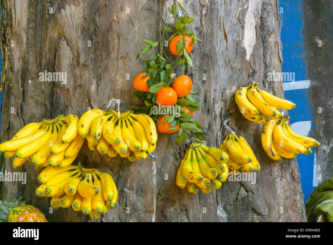 Bananen und Orangen auf einem Baum angezeigt, tianguis Street Market, Ajijic, Jaliso, Mexiko. Stockfoto