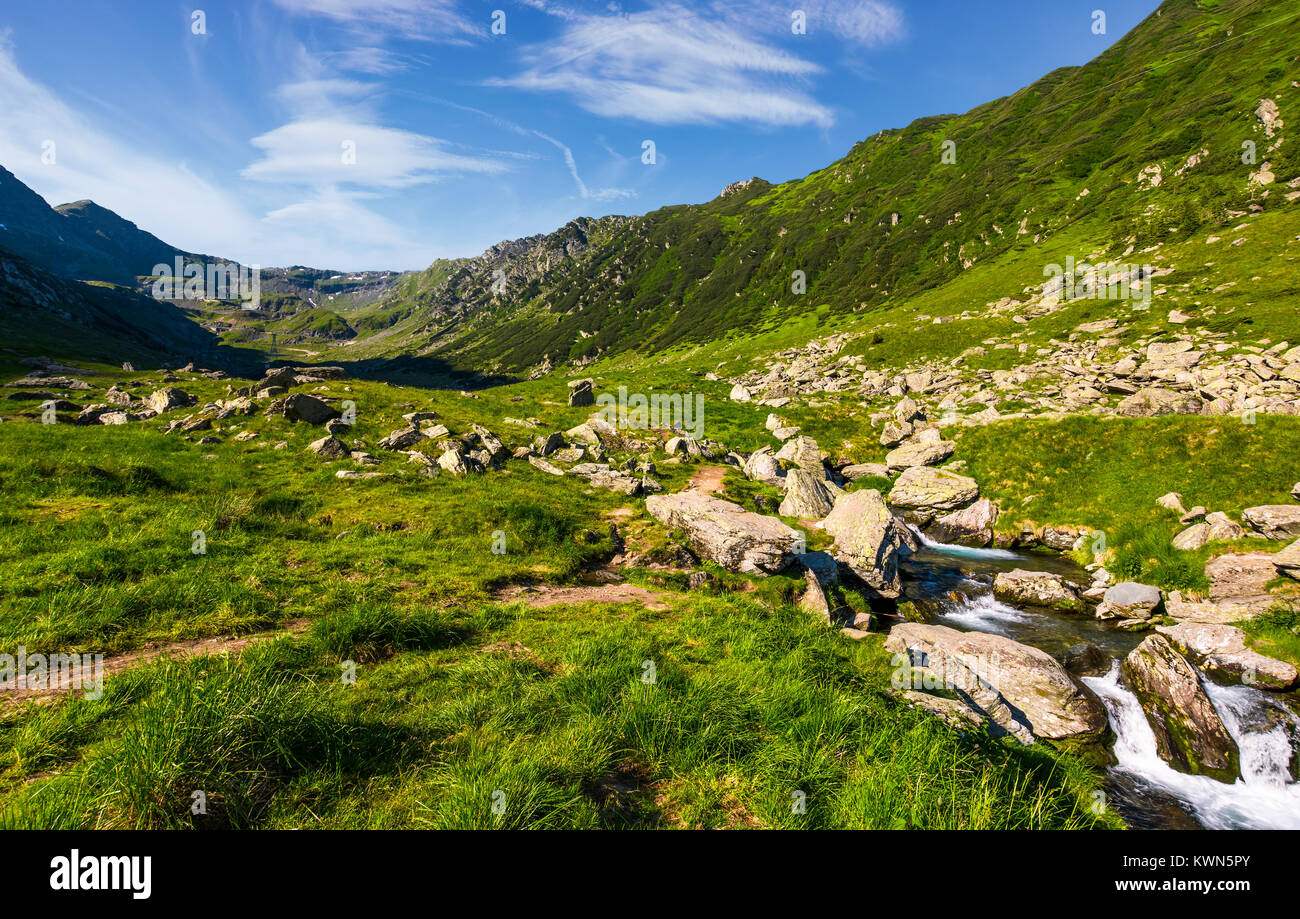 Stream unter den Felsen in der grasartigen Tal. wunderschöne Sommer Landschaft der Fagaras Gebirge Stockfoto