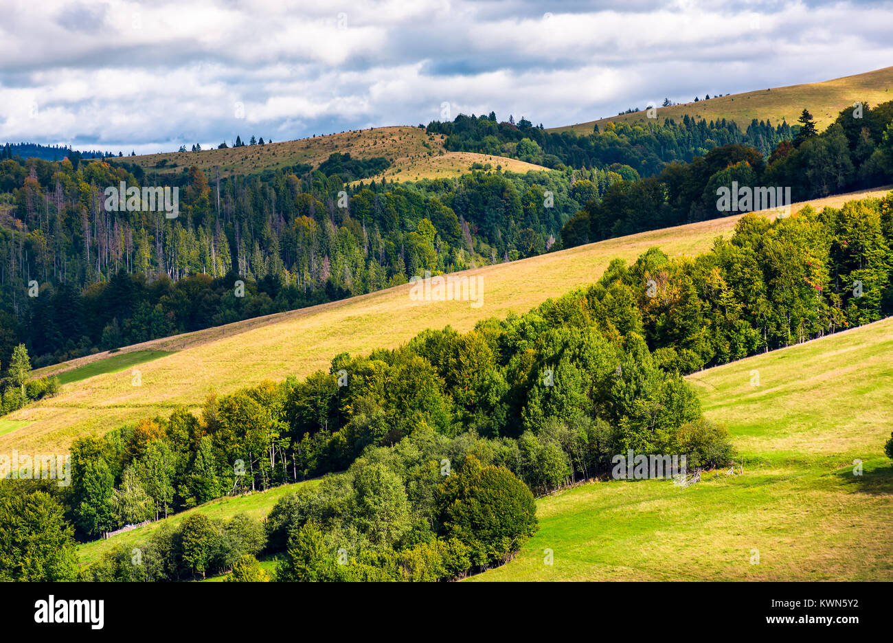 Bewaldete rolling Hill an einem bewölkten Tag. schöne Natur Landschaft der gebirgigen Landschaft. tolles Wetter früh im Herbst Stockfoto