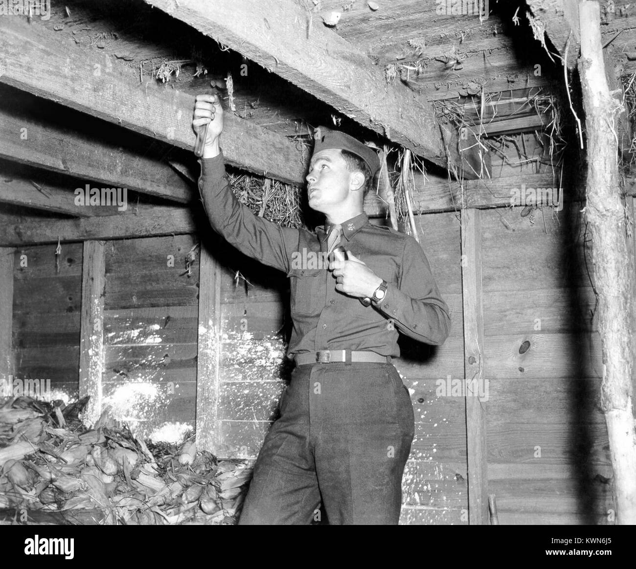 Dieses Foto zeigt ein Inspektor Mücken sammeln in Chloroform Rohre für Vektor Identifikation, 1958. Nachdem sie mit Chloroform betäubt Dampf, diese Mücken waren später in den Hoffnungen identifiziert geeignete Maßnahmen zur Verringerung der Vektor Bevölkerung zu bestimmen. Mit freundlicher CDC. Stockfoto