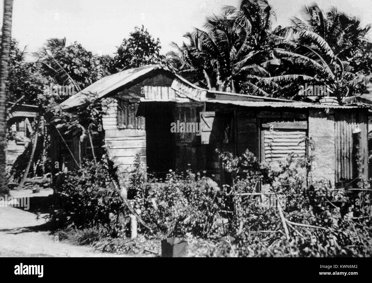 Dieses Foto zeigt eine typische einheimische Hütte in Puerto Rico, eines der am dichtesten besiedelten Gebiete der Welt, 1958. Laut einer Volkszählung 1990, die Durchschnittseinkommen in Puerto Rico wurde gefunden auf $ 9 988 pro Jahr mit 58,9 % der Familien, und 66% der Kinder im Alter von 5 - 17, die unter der Armutsgrenze leben. Mit freundlicher CDC. Stockfoto