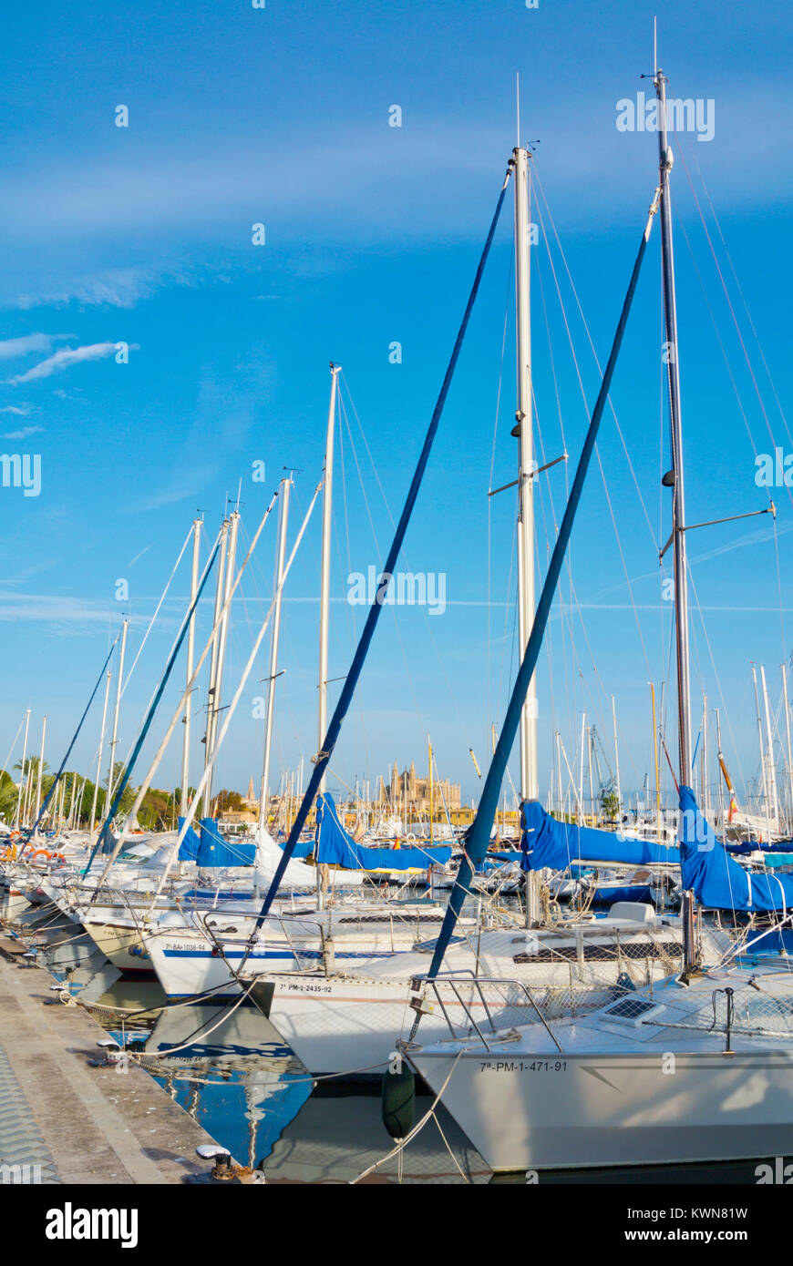 Marina Port de Palma, Palma, Mallorca, Balearen, Spanien Stockfoto