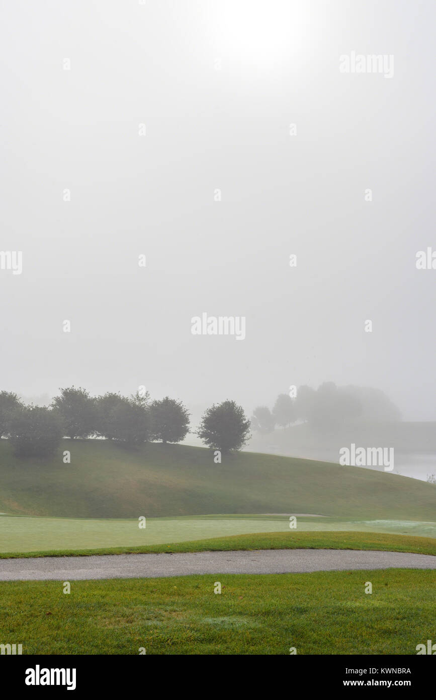 Nebel über Teich und Grüns an der Goldkurs in den frühen Morgenstunden Stockfoto