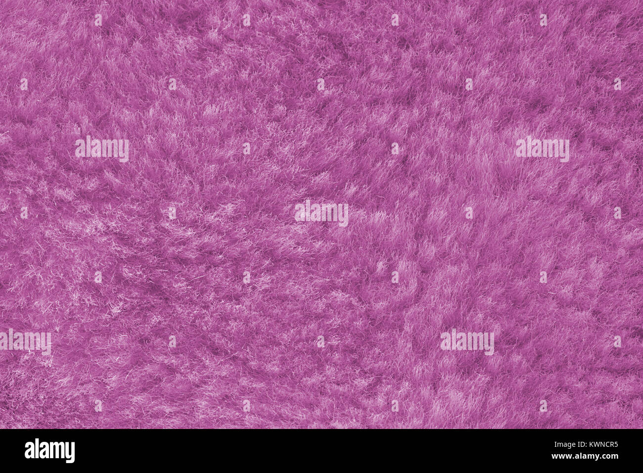 Rosa shaggy Haut eines Tieres closeup Textur, Pelz Textur. Stockfoto