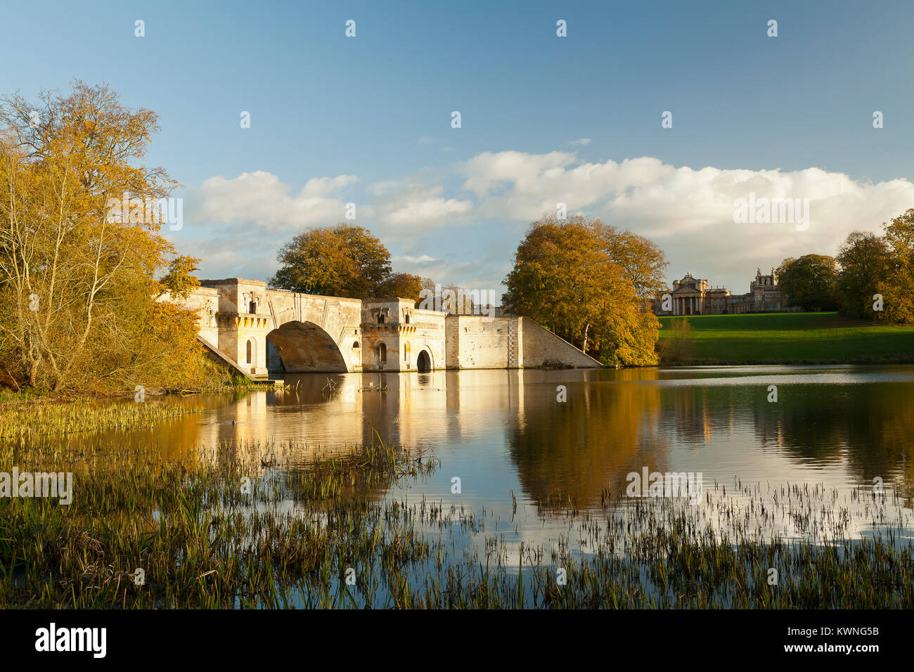 Blick über den Fluss Glyme mit Blick in Richtung Blenheim Palace Stockfoto
