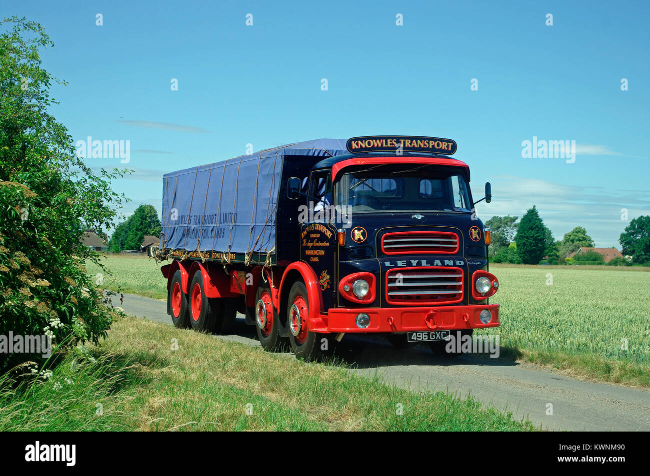 Leyland Octopus Stockfoto