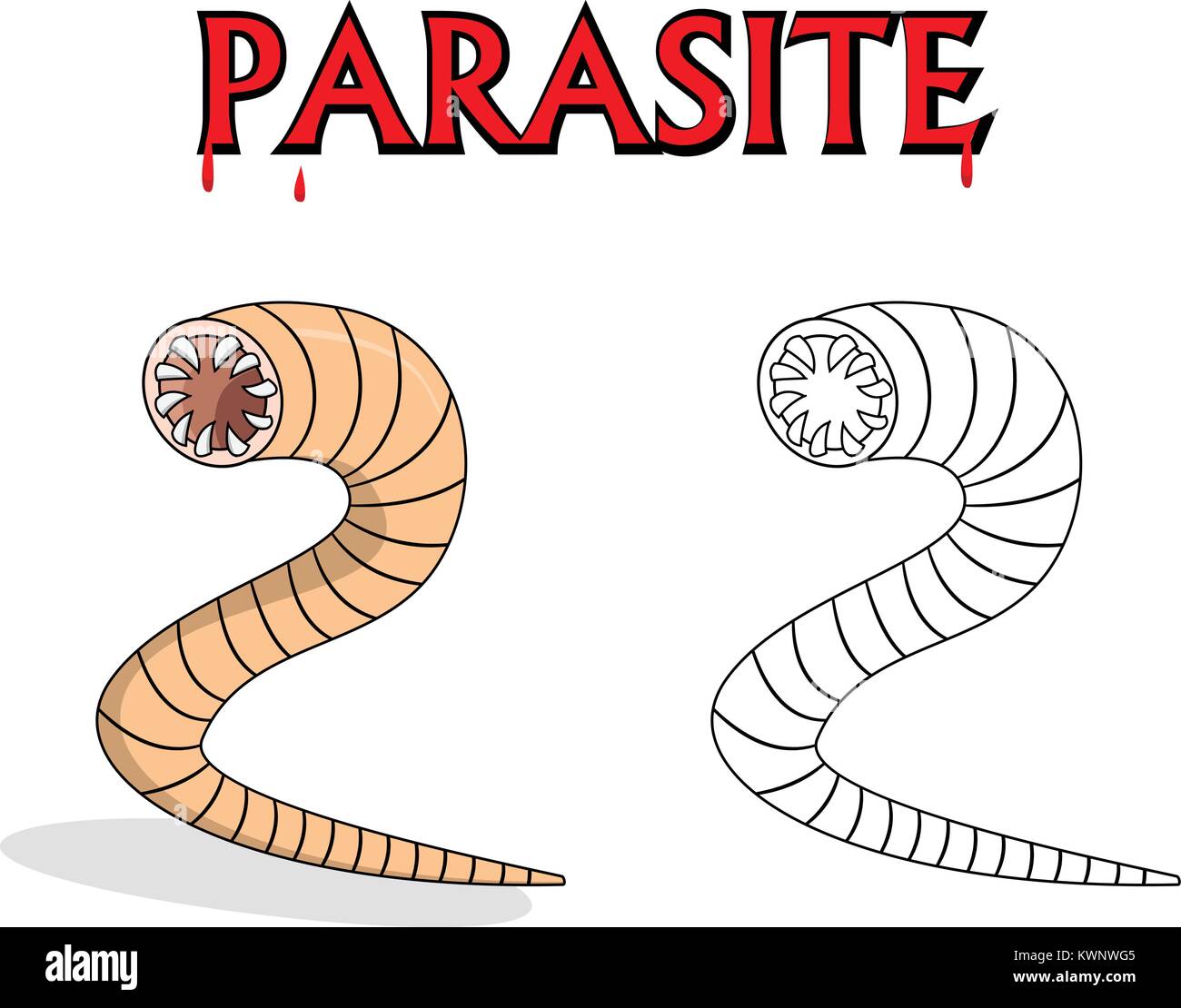 Parasitäre Nematoden Würmer in Gliederung und Vektor cartoon Design