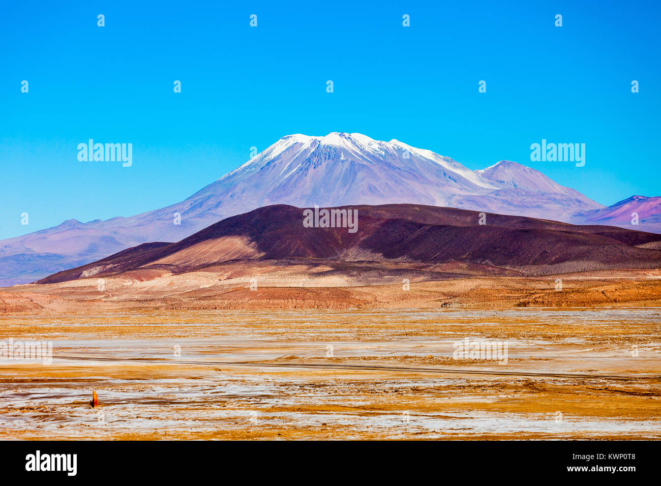 Ollague Stratovulkan in den Anden an der Grenze zwischen Bolivien und Chile. Stockfoto