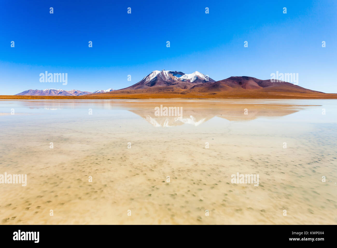 Schönheit, den See und den Vulkan auf Altiplano, Bolivien Stockfoto