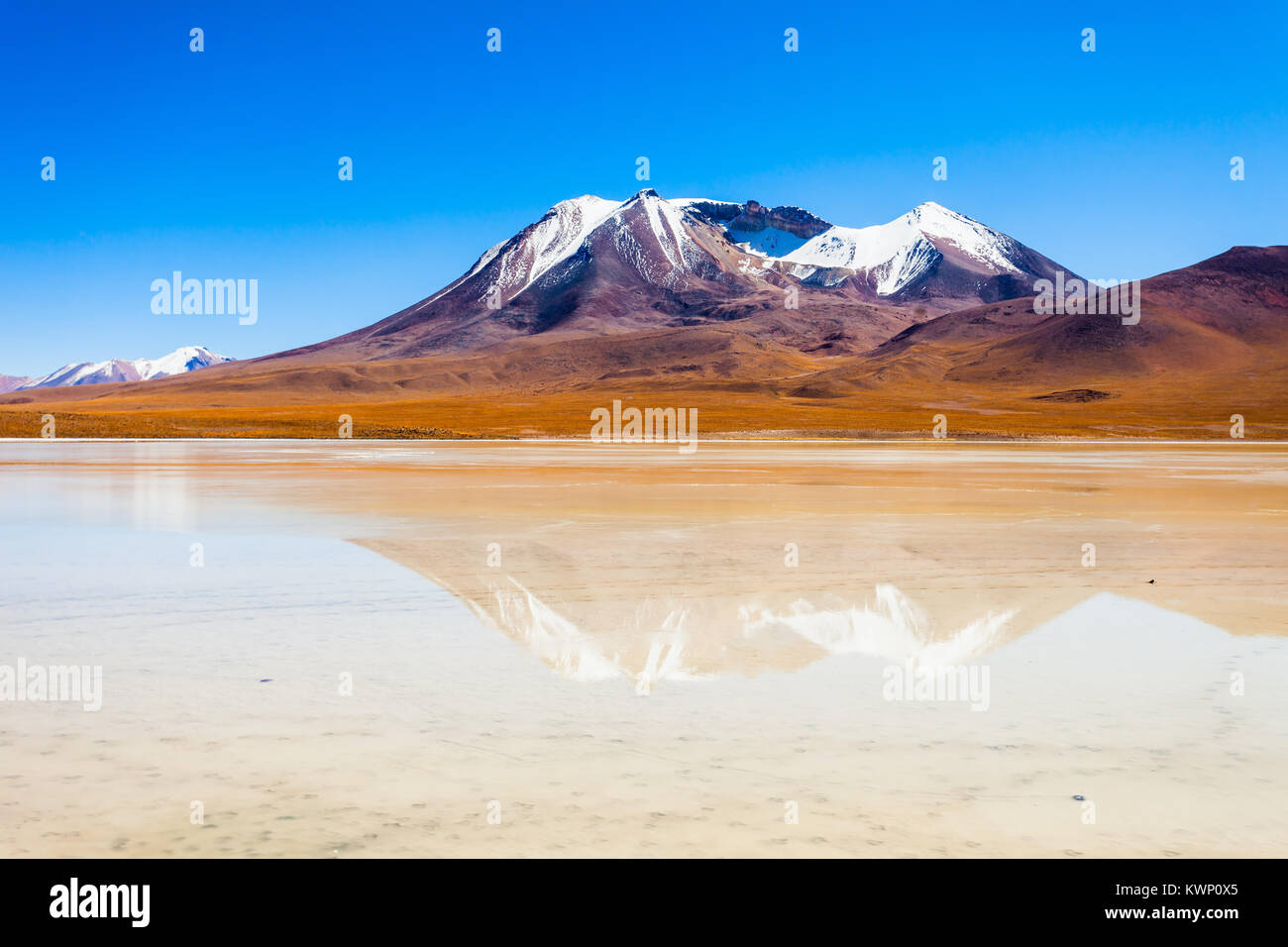 Laguna Canapa ist ein Salzsee in den Altiplano von Bolivien Stockfoto