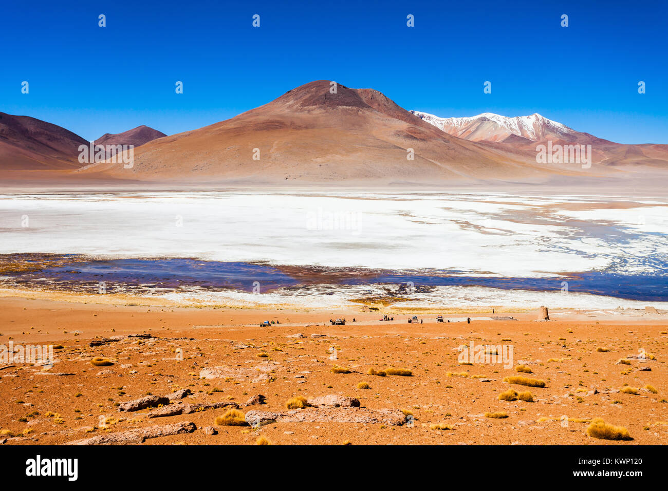Panoramablick von der Laguna Honda, es ist ein Salzsee in den Altiplano von Bolivien. Stockfoto