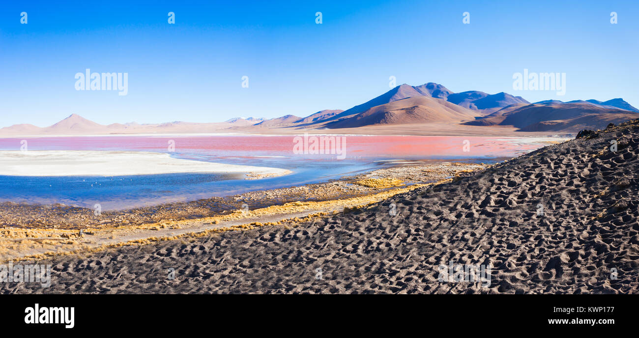 Laguna Colorada (Roter See) ist der schönste See im Altiplano von Bolivien Stockfoto