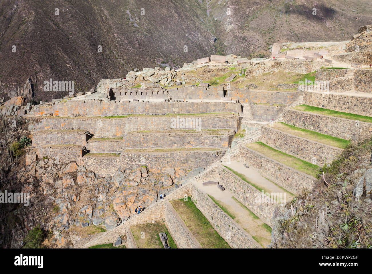 Terrassen von Pumatallis in Ollantaytambo Stadt, im südlichen Peru. Stockfoto