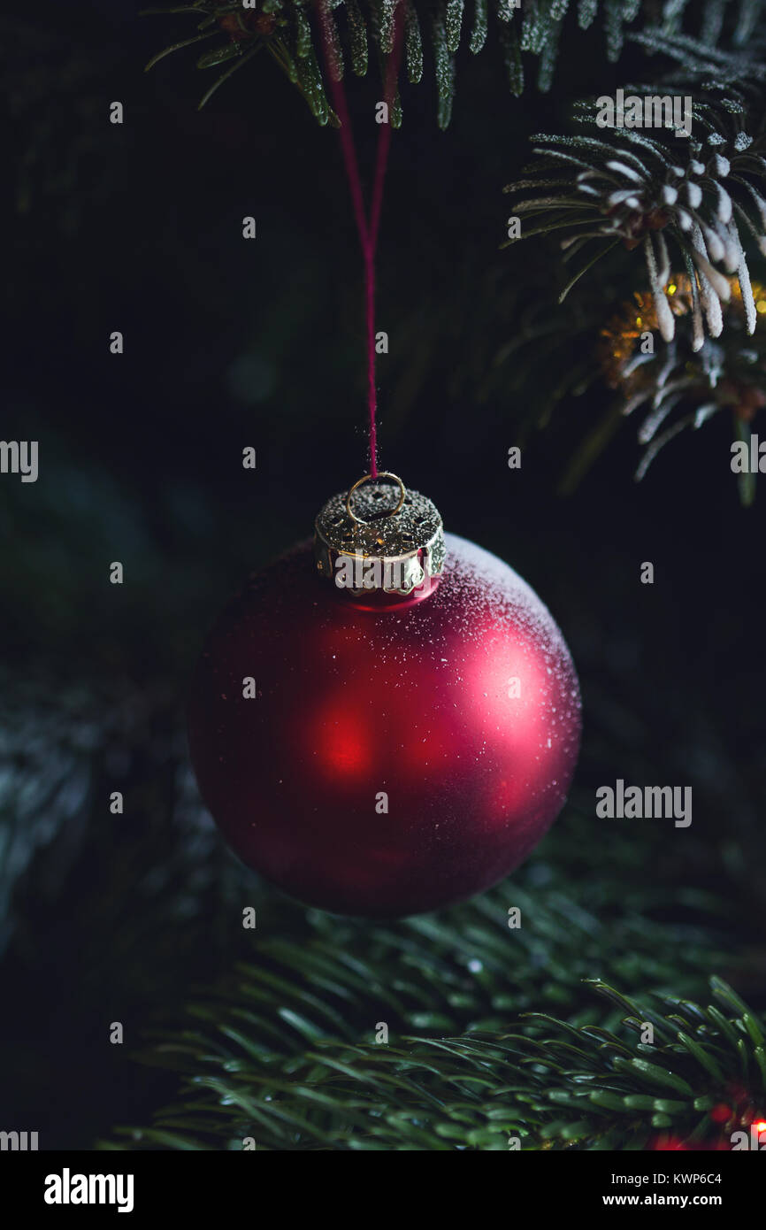 Vertikale Vorderansicht Nahaufnahme von roten Weihnachtskugel hängen in einem Tannenbaum Stockfoto