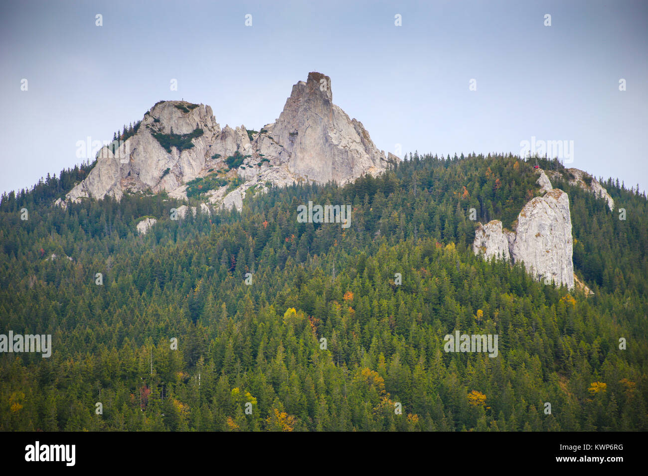 Blick auf pietrele Doamnei Peak (Lady's Steine Felsen) von unten in das Rarau-massiv in Suceava, Bukowina, Rumänien Stockfoto