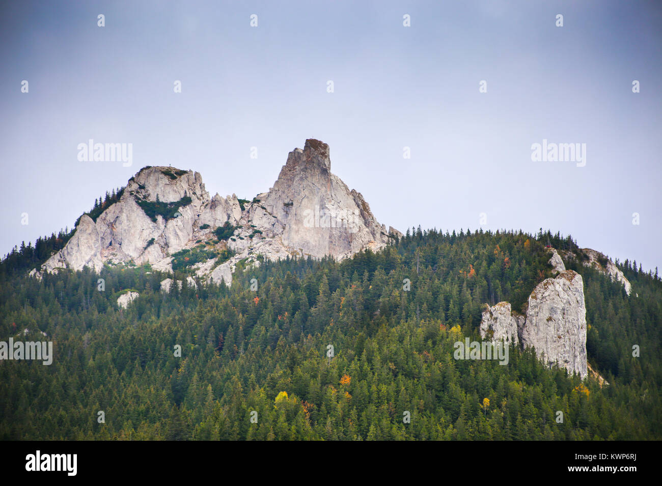 Blick auf pietrele Doamnei Peak (Lady's Steine Felsen) von unten in das Rarau-massiv in Suceava, Bukowina, Rumänien Stockfoto