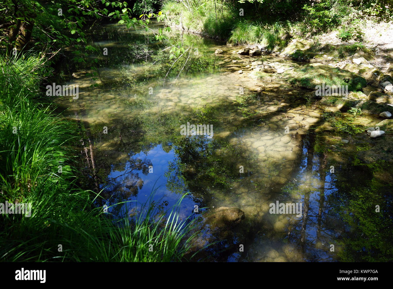 Wald Fluss Caramy in Frankreich Stockfoto