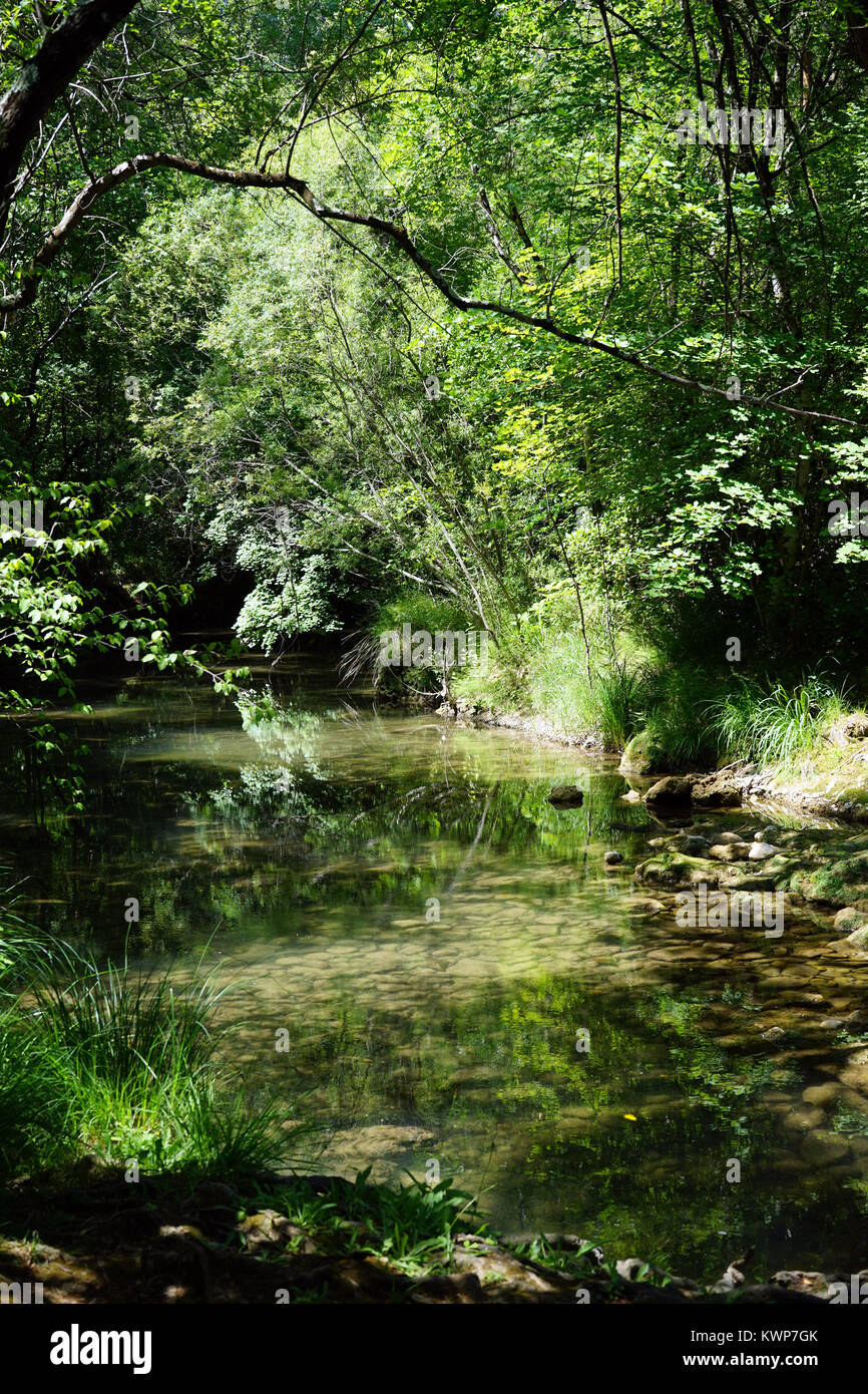 Fluss Caramy im Wald in der Nähe von Tourves, Frankreich Stockfoto