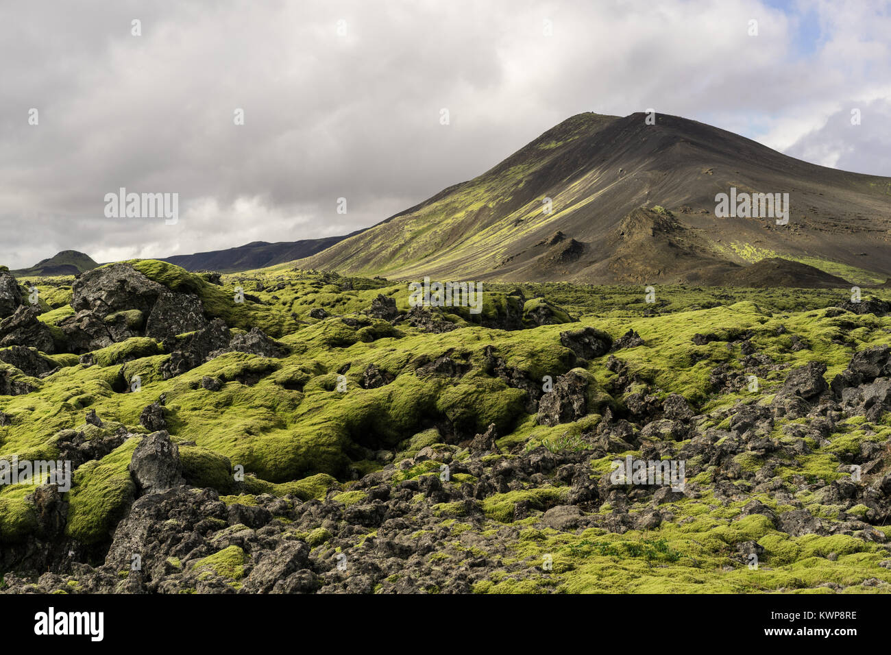 Majestätische Landschaft mit malerischen Bergen und Moos in Island Stockfoto