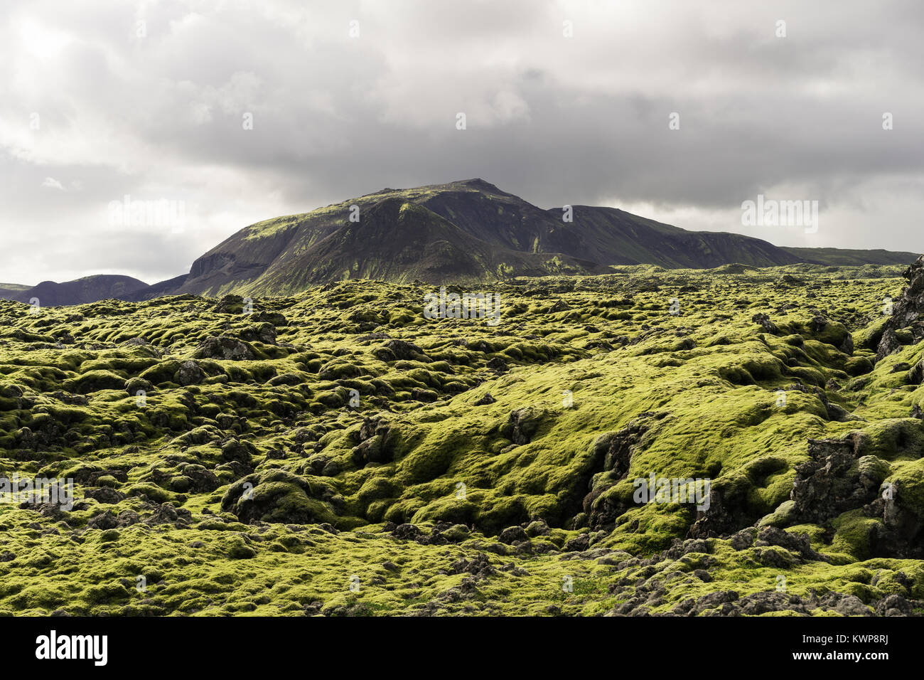 Majestätische Landschaft mit Bergen und Moos in Island Stockfoto