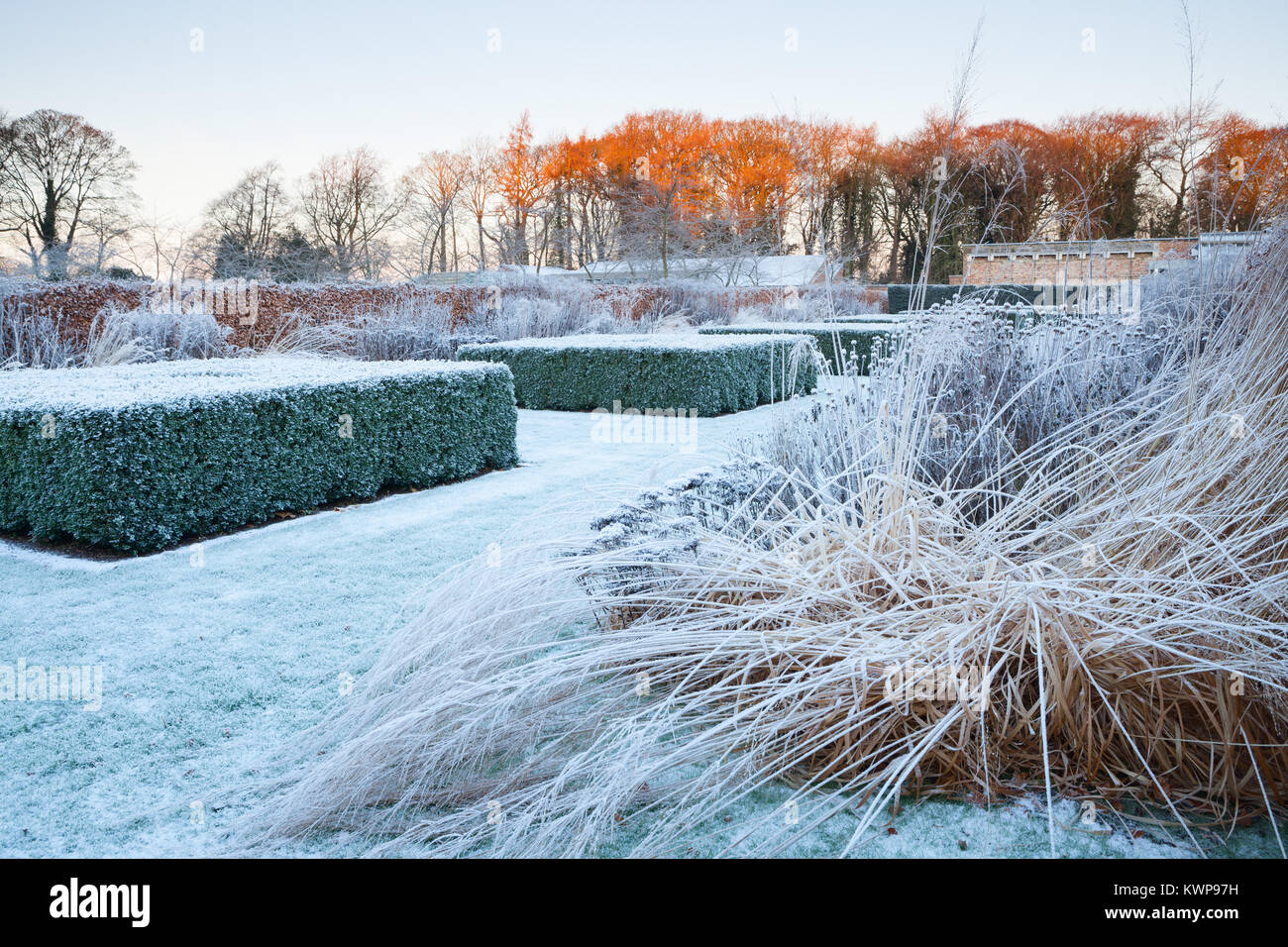 Scampston ummauerten Garten, North Yorkshire, UK. Winter, Dezember 2017. Ein vier Hektar großen zeitgenössischen Garten entworfen von Piet Oudolf. Stockfoto