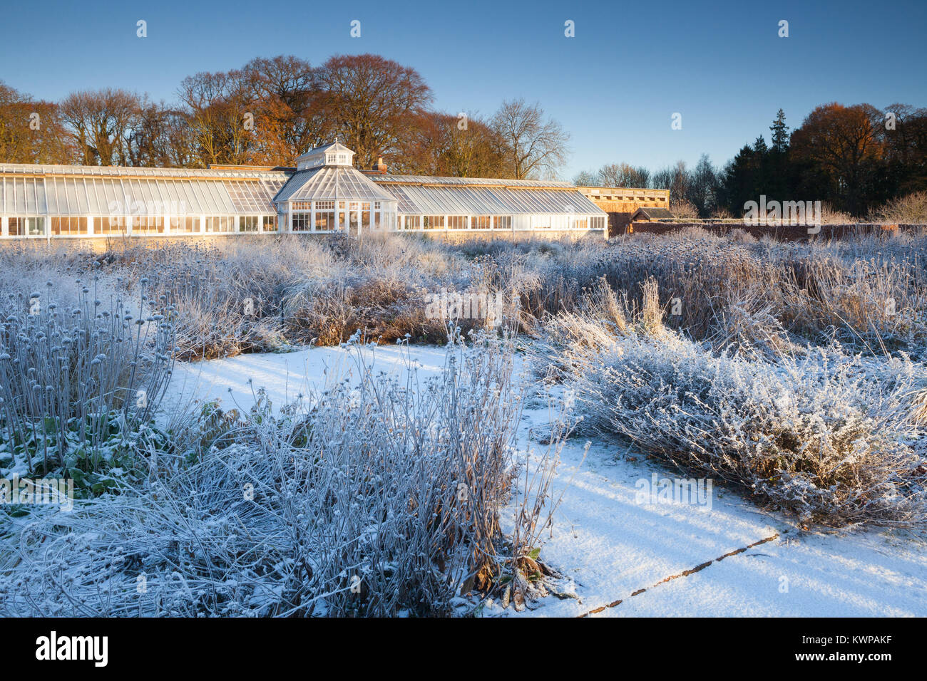 Scampston ummauerten Garten, North Yorkshire, UK. Winter, Dezember 2017. Ein vier Hektar großen zeitgenössischen Garten entworfen von Piet Oudolf. Stockfoto