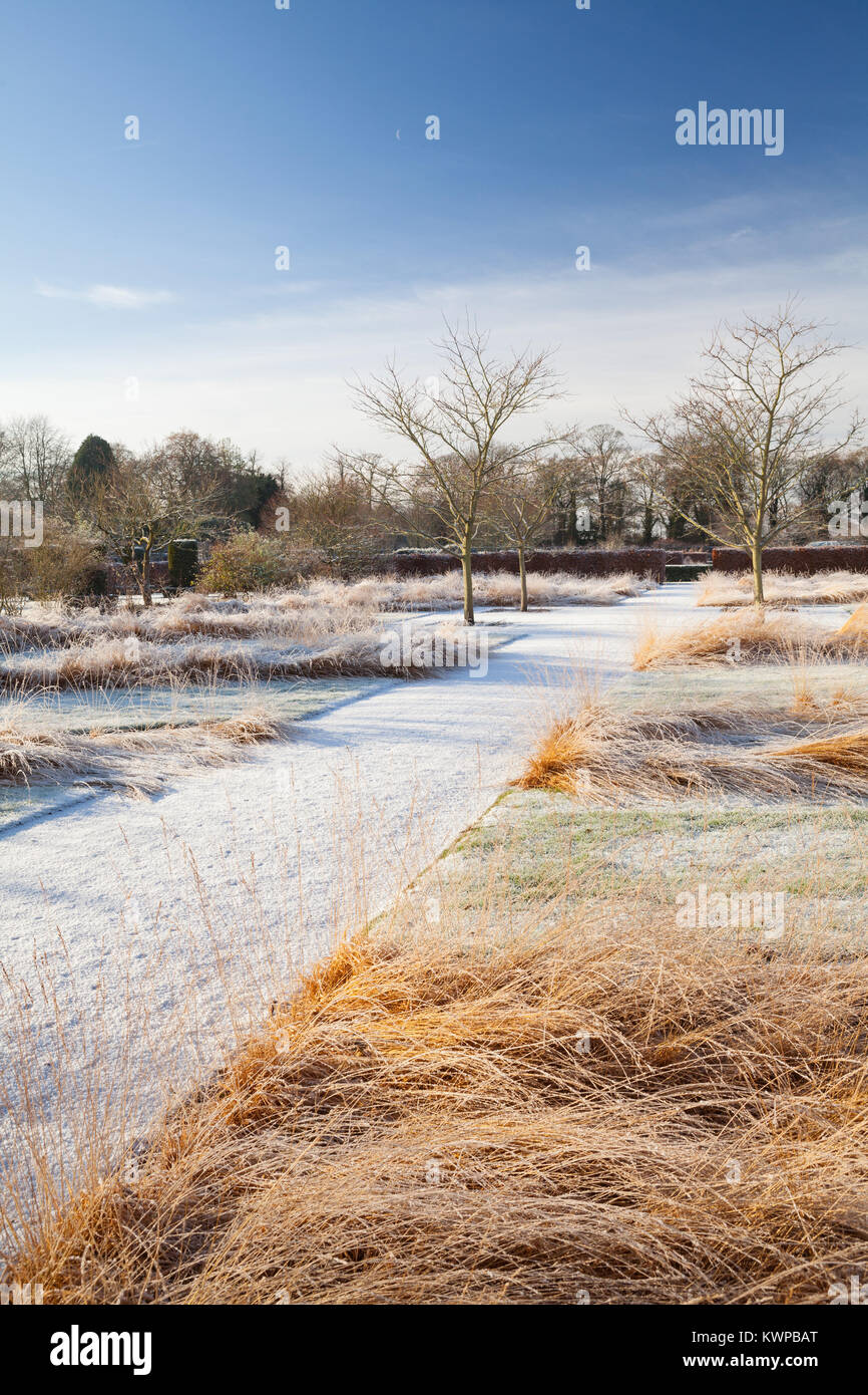 Scampston ummauerten Garten, North Yorkshire, UK. Winter, Dezember 2017. Ein vier Hektar großen zeitgenössischen Garten entworfen von Piet Oudolf. Stockfoto