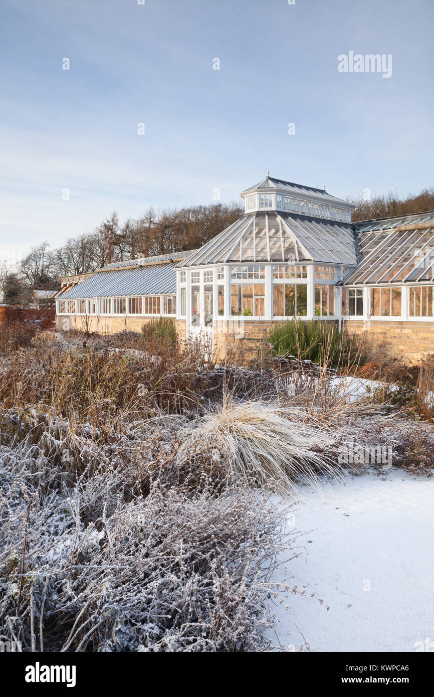 Scampston ummauerten Garten, North Yorkshire, UK. Winter, Dezember 2017. Ein vier Hektar großen zeitgenössischen Garten entworfen von Piet Oudolf. Stockfoto