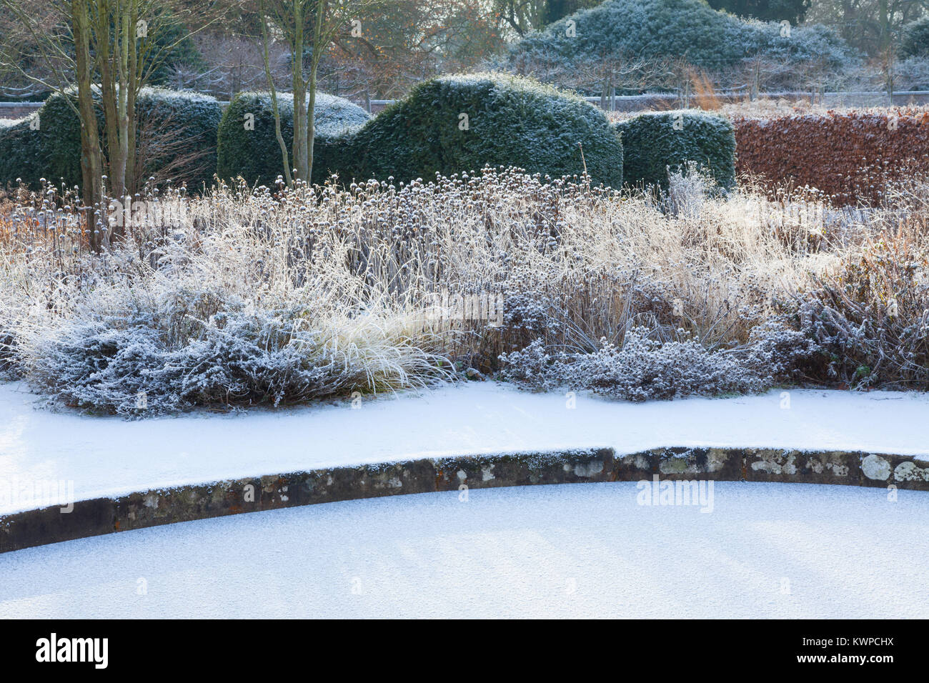 Scampston ummauerten Garten, North Yorkshire, UK. Winter, Dezember 2017. Ein vier Hektar großen zeitgenössischen Garten entworfen von Piet Oudolf. Stockfoto