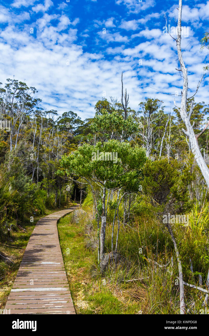 Tasmanische wildnis Fotos und Bildmaterial in hoher Auflösung Alamy