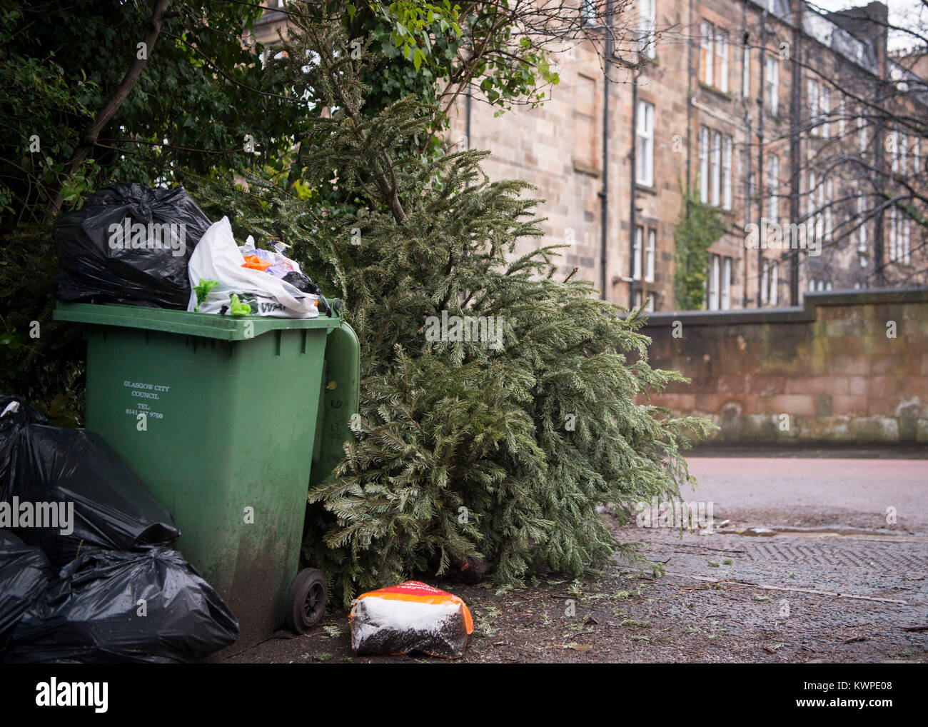 Foto von Weihnachtsbäumen, im West End von Glasgow verworfen, als Menschen, die nach der Weihnachtszeit und Kopf wieder klar. Stockfoto