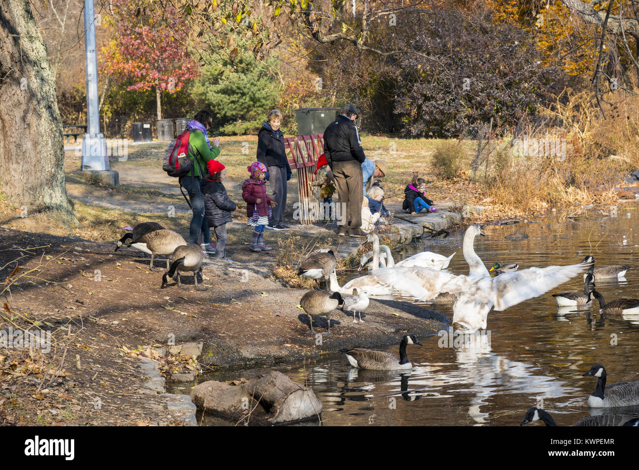 Menschen, Gänse und Schwäne genießen, sich entlang des Sees in Prospect Park in den späten Herbst, Brooklyn, New York. Stockfoto