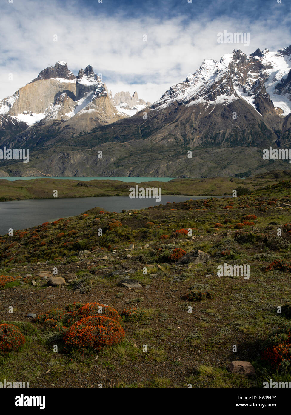 Blick auf majestätische Torres del Paine Nationalpark, Chile. Stockfoto