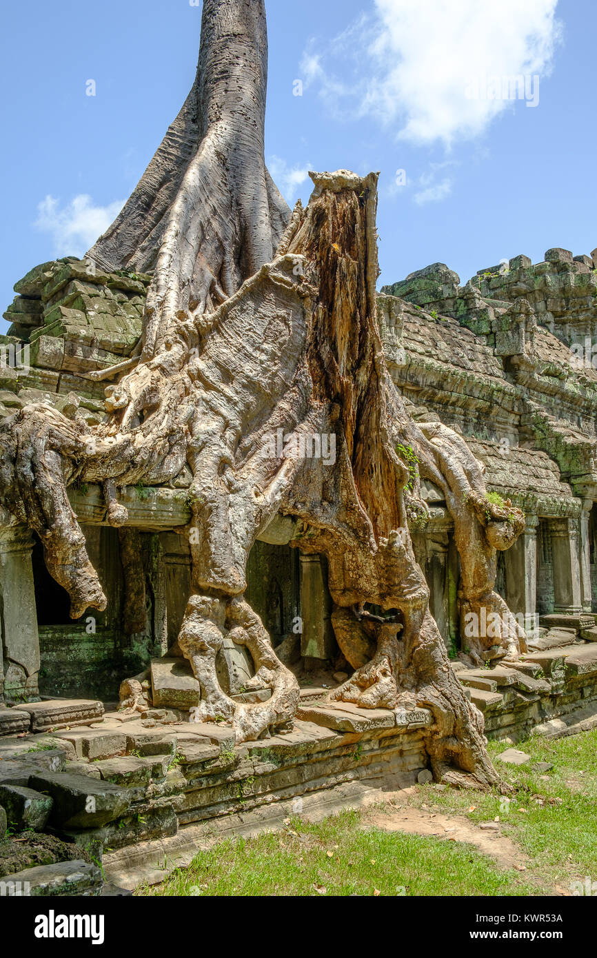 Preah Khan Tempel in der Morgensonne Stockfoto