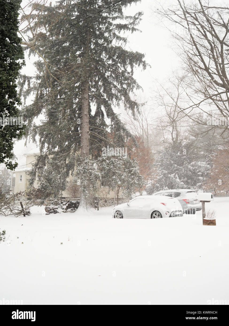 Chappaqua, NY, USA. 4. Januar 2018. Wintersturm Grayson, ein von Meteorologen für einen starken Luftdruckabfall benannter Bombenzyklon-Schneesturm, traf die Ostküste mit Whiteout-Bedingungen, eisigen kalten Temperaturen und bis zu einem Fuß Schnee, der bei anliegendem Schneefall zu erwarten war. Erklärte den Ausnahmezustand in Westchester County, wo Windböen von 50 mph aufgezeichnet wurden, heute Morgen. Der Schneetag für Schulen und Unternehmen ist wegen des Schneesturms geschlossen. Die Sturmstärke wird bis zu 80 km/h erwartet, wenn sich der Schneesturm verschlimmert. Kredit: © 2018 Marianne Campolongo/Alamy Live Nachrichten. Stockfoto