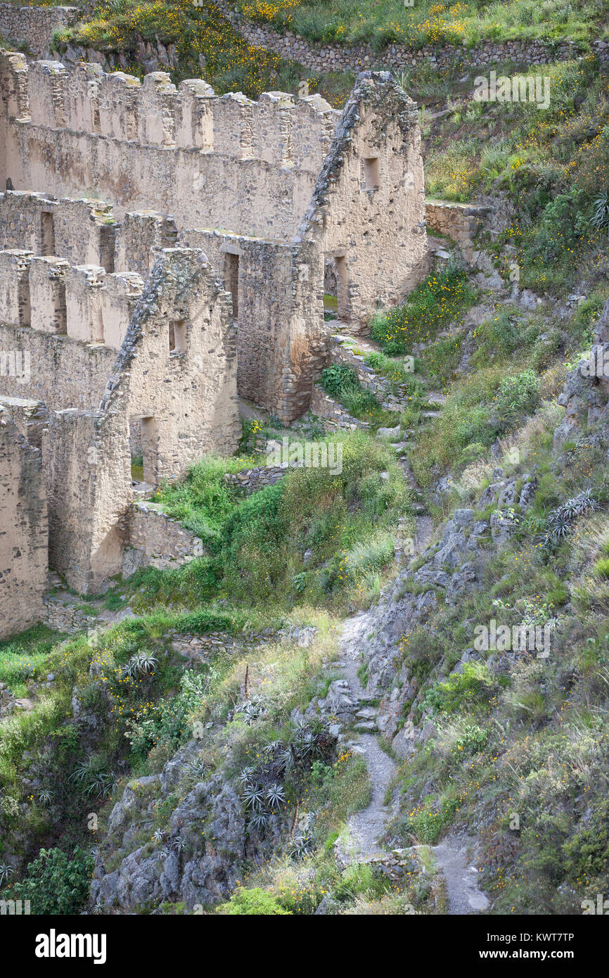 Steilen alten Trail führt zu Ruinen von Pinkuylluna (eine alte Inka Getreidespeicher) außerhalb der Stadt Huancayo, Peru. Stockfoto