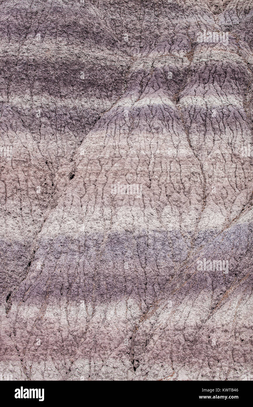 Schichten (Strata) von bunten Ton in versteinerten National Forest, Arizona, USA. Stockfoto