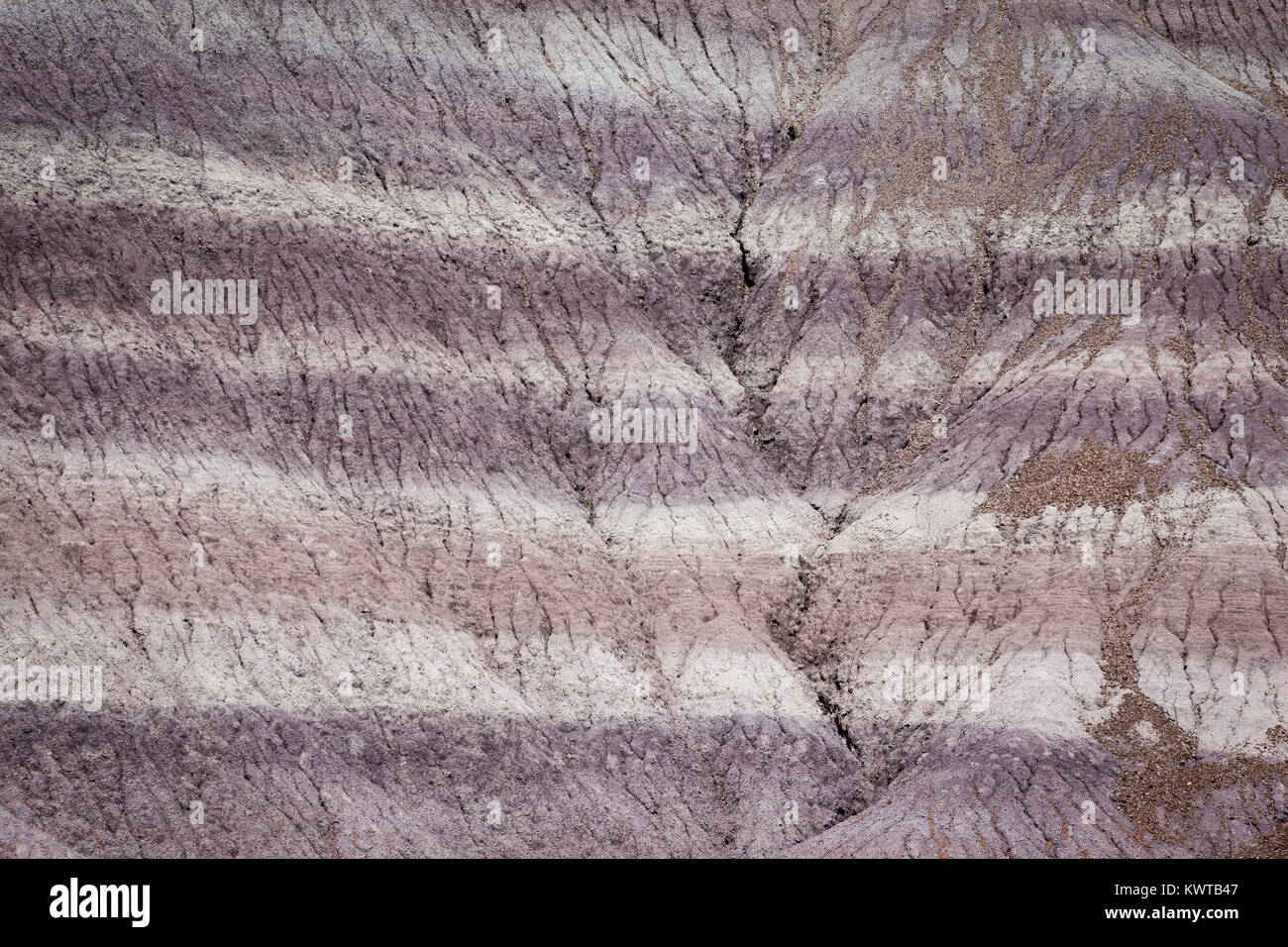 Schichten (Strata) von bunten Ton in versteinerten National Forest, Arizona, USA. Stockfoto