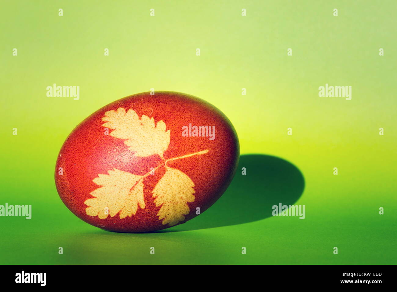Braun-rot Ostern Gras dekoriert Ei gefärbt mit Zwiebel infusion Stockfoto