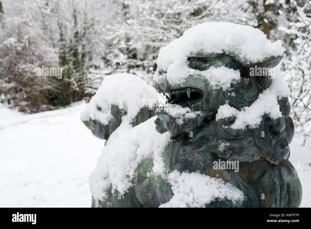 Chinese Foo Dog Bronzestatue und Winter Bäume im Schnee im Dezember bei Batsford Arboretum, Cotswolds, Moreton-in-Marsh, Gloucestershire, England Stockfoto