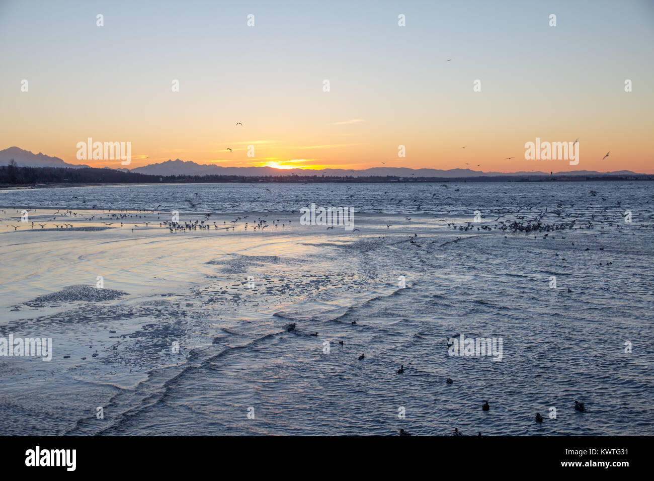 Erste bunte Sonnenstrahlen leuchten hinter Gipfeln der North Cascades Berge. Ändern der Gezeiten erzeugen Wellen und Vogel Aktivität auf Wattflächen. Stockfoto