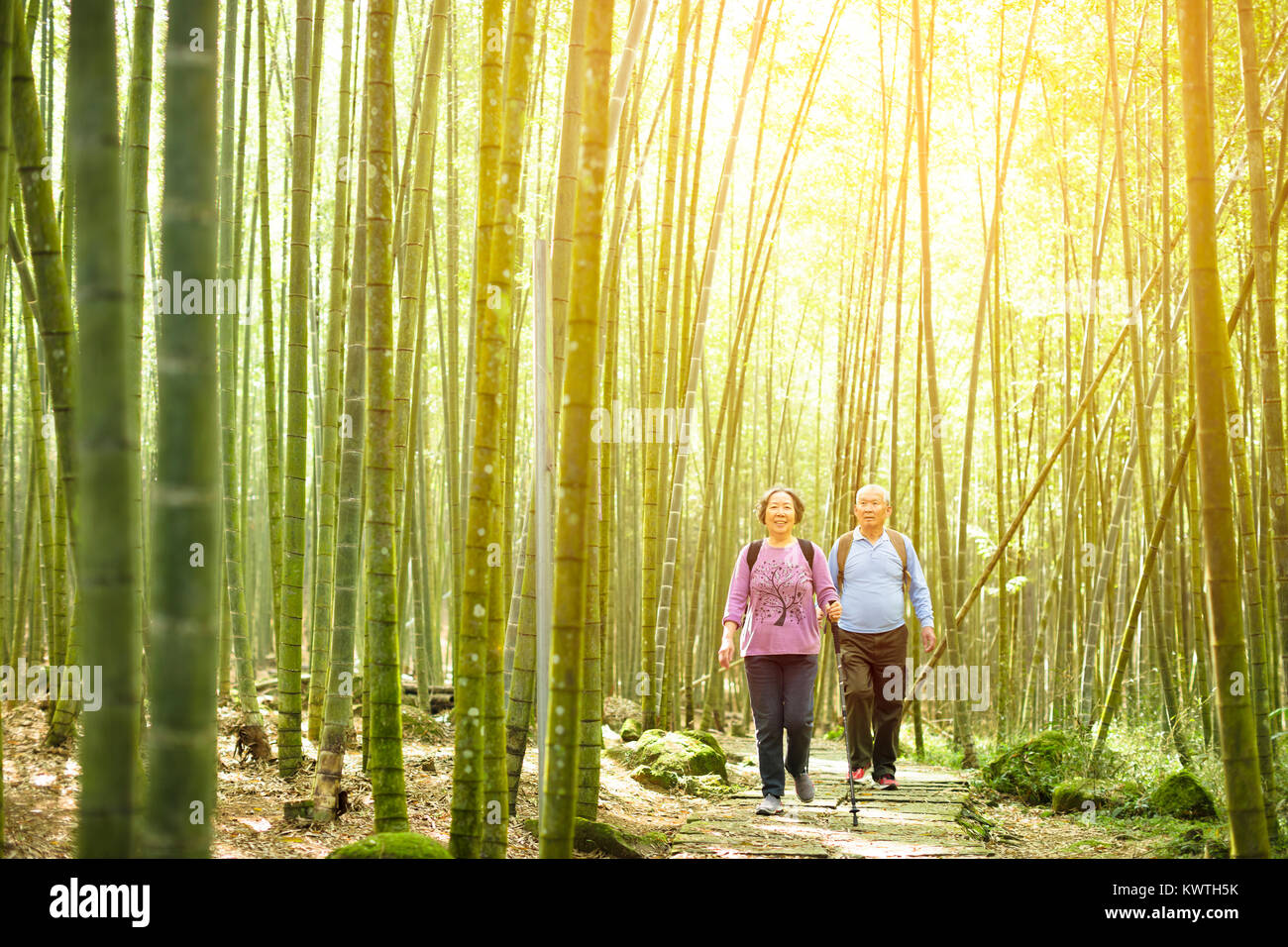 Senior Paar wandern in grüner Bambus Wald Stockfoto