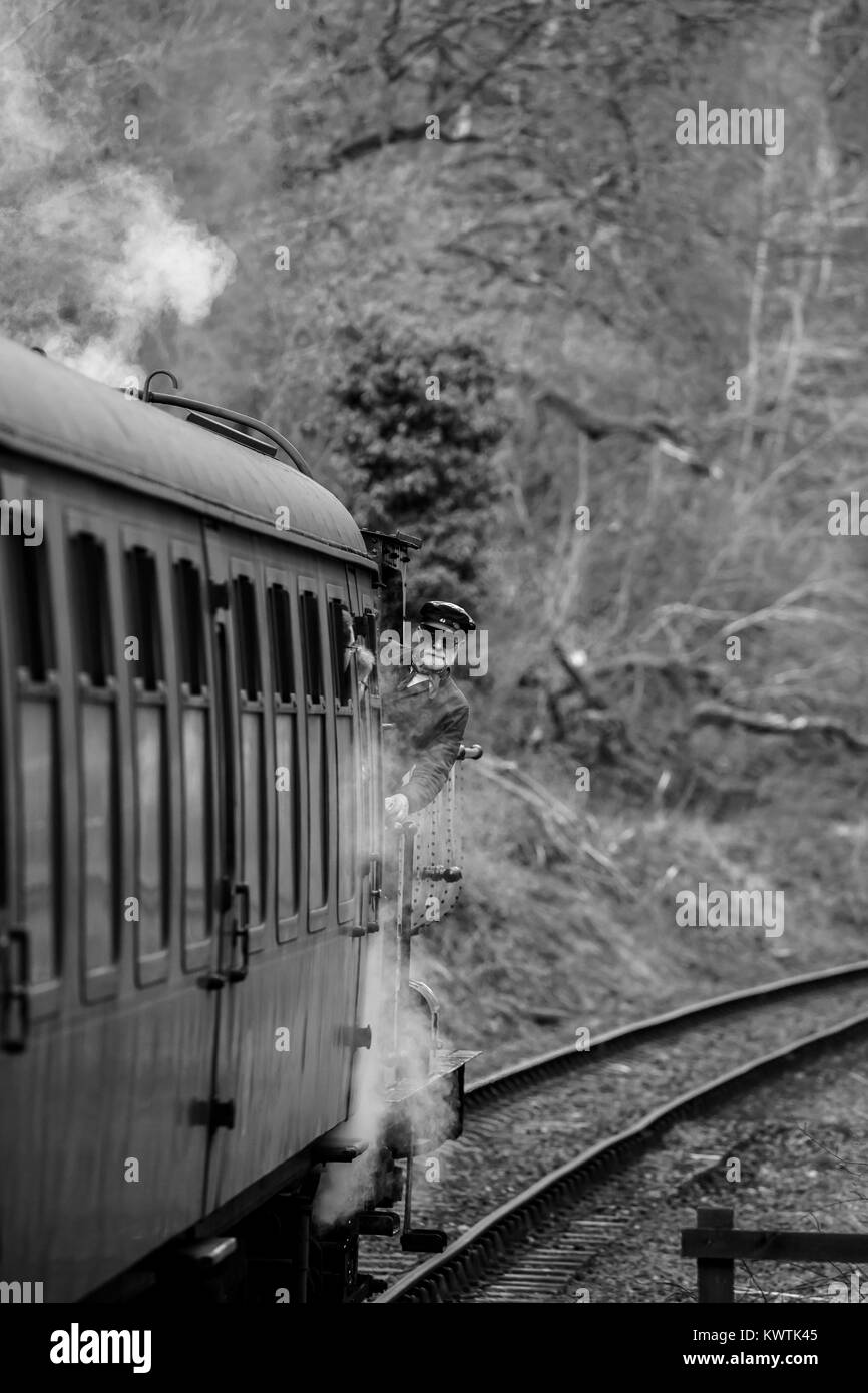 Schwarz & Weiß Portraitfotos von sich bewegenden UK Dampfzug auf der Strecke der Museumsbahn. Lokführer lehnt sich aus der Lokomotive, fast hinter dem Schlitten versteckt. Stockfoto