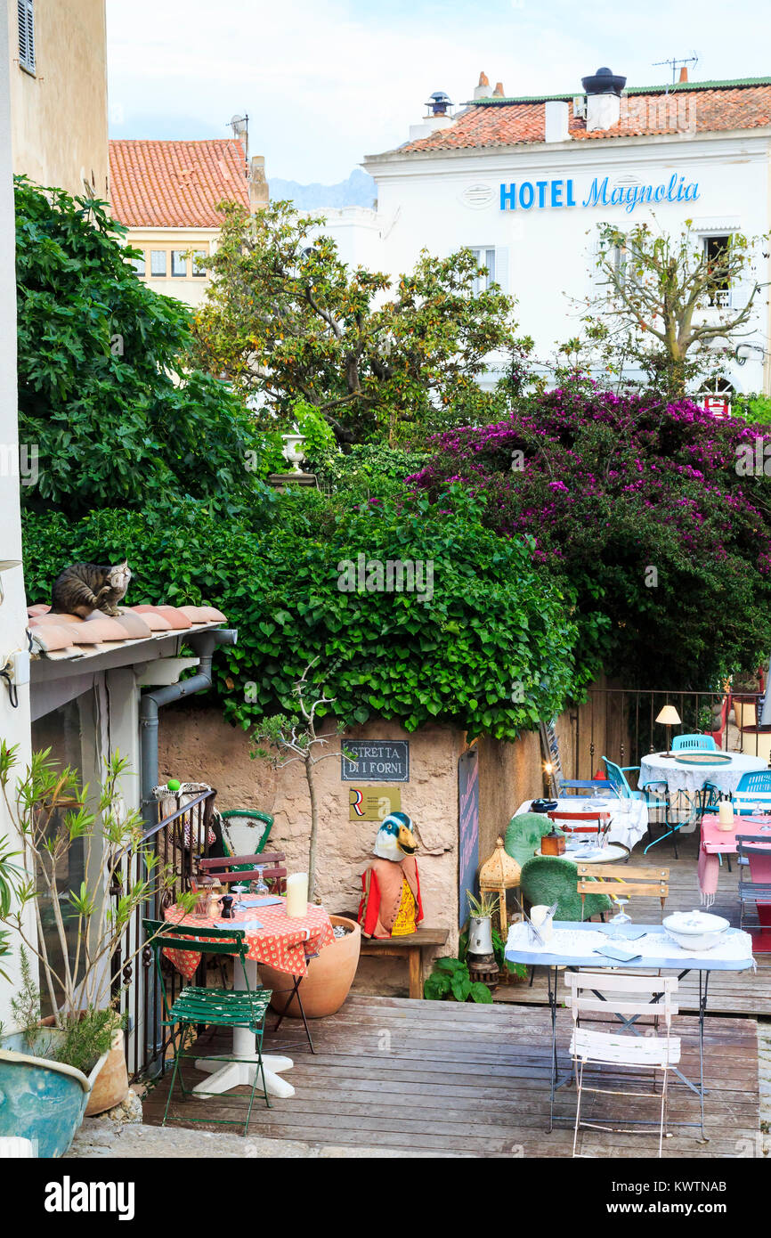 Restaurant Terrasse Calvi, Korsika, Frankreich Stockfoto