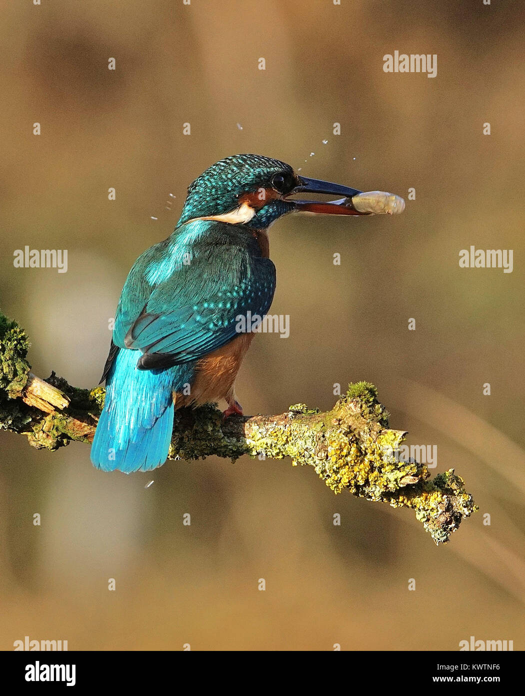 Gone Fishing Stockfoto