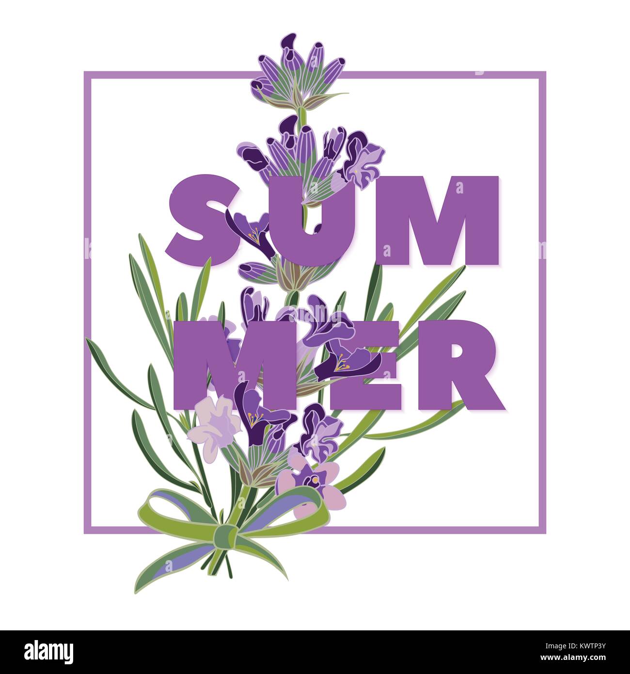 Sommer floral background mit schönen Lavendelblüten auf weißem Hintergrund. Mehrfarbige Typografie Grußkarte. Vector Illustration Stock Vektor